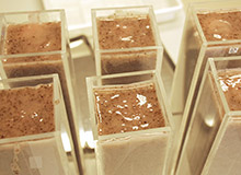 最後に成形して、まるで和菓子のような石鹸が完成します。